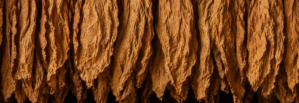 Whole Leaf Tobacco